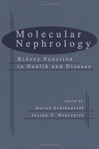 Stock image for Molecular Nephrology: Kidney Function in Health and Disease for sale by Alien Bindings
