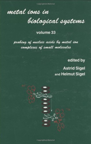 Imagen de archivo de Probing of Nucleic Acids By Metal Ion Complexes of Small Molecules. Metal Ions in Biological Systems.Volume 33. a la venta por Lawrence Jones Books