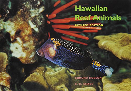 9780824813079: Hawaiian Reef Animals: Revised Edition