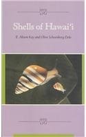 Stock image for Shells of Hawaii for sale by GF Books, Inc.