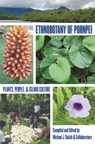 Stock image for Ethnobotany of Pohnpei: Plants, People, and Island Culture for sale by Front Cover Books