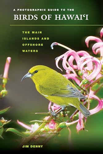 Beispielbild fr A Photographic Guide to the Birds of Hawaii: The Main Islands and Offshore Waters (Latitude 20 Books (Paperback)) zum Verkauf von BooksRun