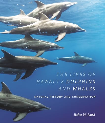 9780824859985: The Lives of Hawai‘i's Dolphins and Whales: Natural History and Conservation