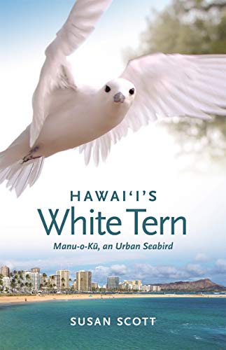 Stock image for Hawai'i's White Tern: Manu-O-K?, an Urban Seabird for sale by ThriftBooks-Atlanta