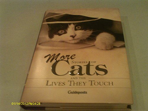Stock image for More Stories Of Cats and the Lives They Touch for sale by Wonder Book