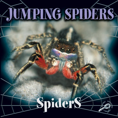 Beispielbild fr Jumping Spiders (Spiders Discovery Library) zum Verkauf von Wonder Book