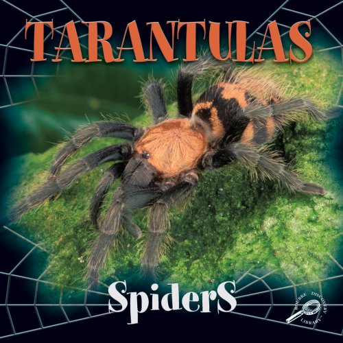 Beispielbild fr Tarantulas zum Verkauf von Better World Books