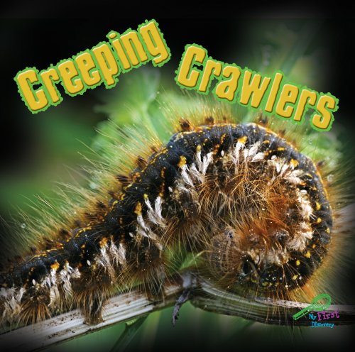Beispielbild fr Creeping Crawlers (My First Discovery) zum Verkauf von Wonder Book