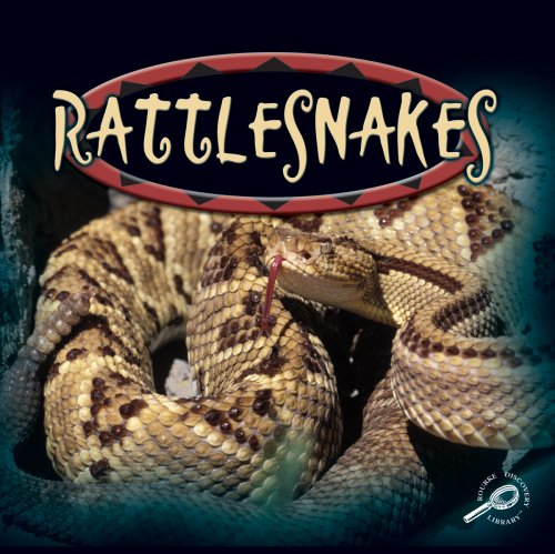 9780824951467: Rattlesnakes (Amazing Snakes Discovery Library)