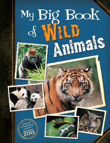 Beispielbild fr My Big Book of Wild Animals zum Verkauf von Better World Books