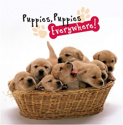 Imagen de archivo de Puppies, Puppies Everywhere! a la venta por Half Price Books Inc.