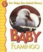 Beispielbild fr Baby Flamingo zum Verkauf von Better World Books