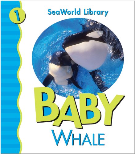 Baby Killer Whale San Diego Zoo (Seaworld Library) (9780824966157) by Shively
