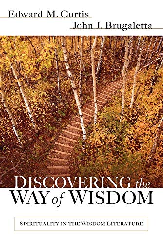 Stock image for Discovering the Way of Wisdom for sale by SecondSale