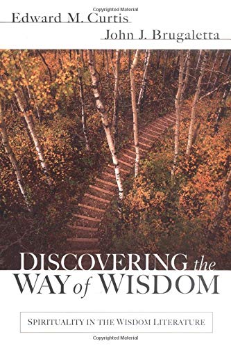 Stock image for Discovering the Way of Wisdom for sale by SecondSale