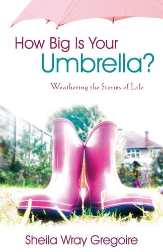 Stock image for How Big Is Your Umbrella?: Weathering the Storms of Life for sale by ThriftBooks-Atlanta