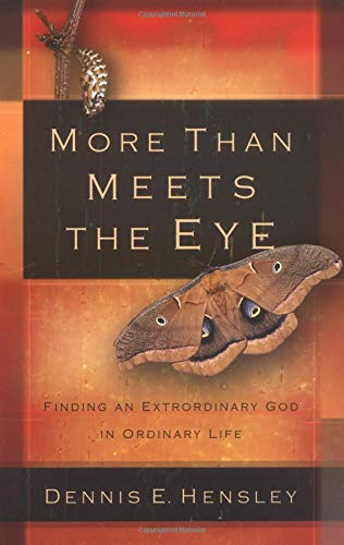 Imagen de archivo de More Than Meets the Eye***OP***: Encountering God Where We Least Expect to Find Him a la venta por Half Price Books Inc.