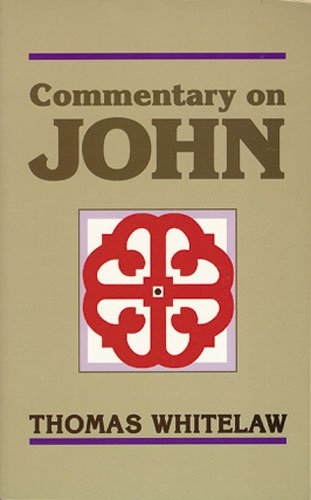 Beispielbild fr Commentary on John zum Verkauf von medimops