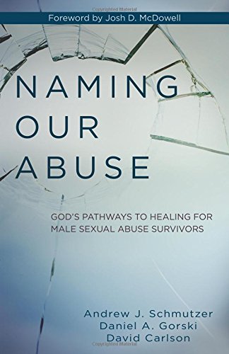 Imagen de archivo de Naming Our Abuse: Gods Pathways to Healing for Male Sexual Abuse Survivors a la venta por Goodwill Books