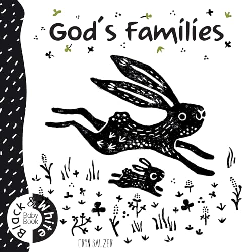 Stock image for Gods Families (Black White Baby Book) for sale by Goodwill of Colorado