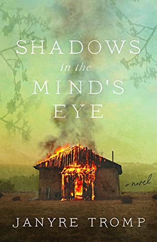 Beispielbild fr Shadows in the Mind's Eye zum Verkauf von Better World Books