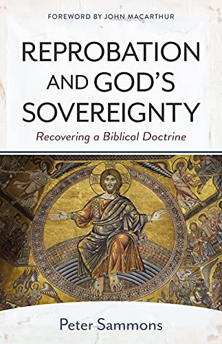 Imagen de archivo de Reprobation and God`s Sovereignty   Redeeming a Biblical Doctrine a la venta por Revaluation Books