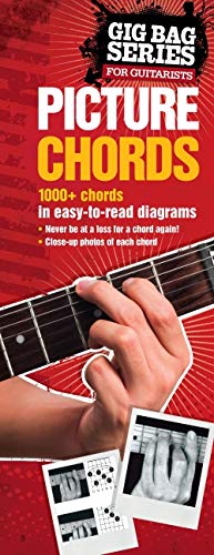 Imagen de archivo de Picture Chords for Guitarists: The Gig Bag Series (The Gig Bag Series for Guitarists) a la venta por SecondSale