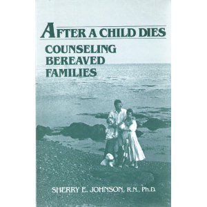 Stock image for After a Child Dies: Counseling Bereaved Families for sale by ThriftBooks-Atlanta