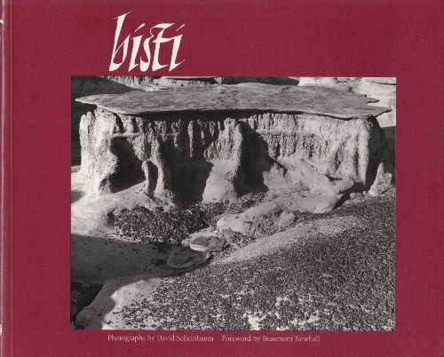 BISTI; PHOTGRAPHS BY DAVID SCHEINBAUM