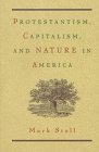 9780826317810: Protestantism, Capitalism and Nature in America