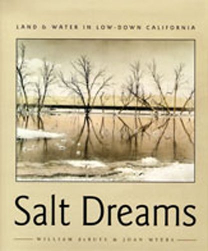 Stock image for Salt Dreams: Land and Water in Low-Down California for sale by SecondSale