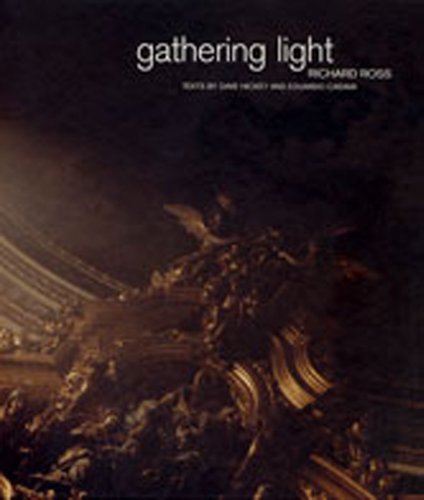 Beispielbild fr Gathering Light zum Verkauf von WorldofBooks