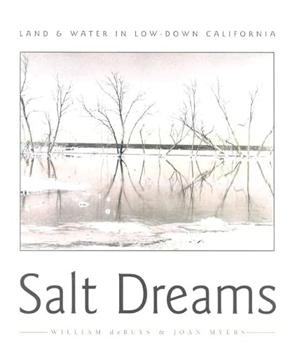 Stock image for Salt Dreams : Land and Water in Low-down California for sale by Better World Books: West