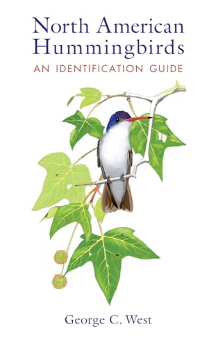 Stock image for North American Hummingbirds: An Identification Guide for sale by Goodwill Books
