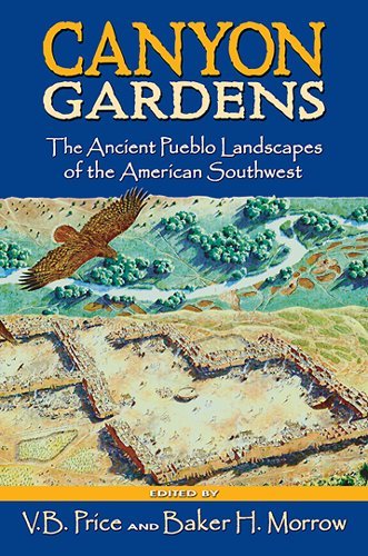 Stock image for Canyon Gardens: The Ancient Pueblo Landscapes of the American Southwest for sale by HPB-Red