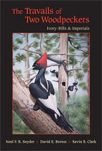 Stock image for The Travails of Two Woodpeckers : Ivory-Bills and Imperials for sale by Better World Books: West