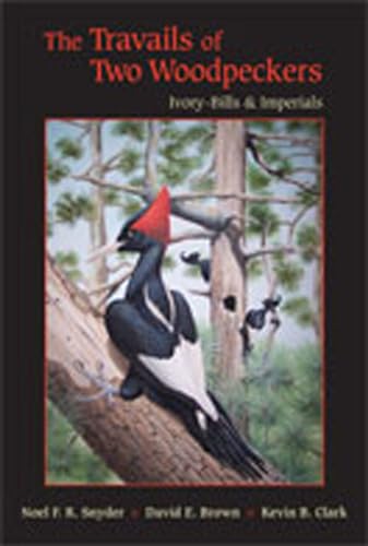 9780826346643: The Travails of Two Woodpeckers: Ivory-Bills and Imperials