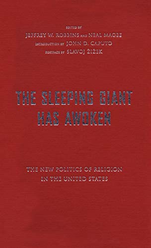 9780826429681: Sleeping Giant Has Awoken: The New Politics of Religion in the United States