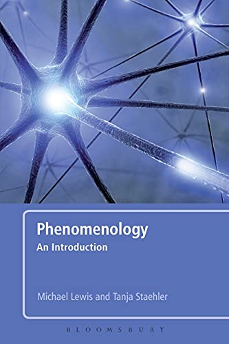 Stock image for Phenomenology for sale by Chiron Media