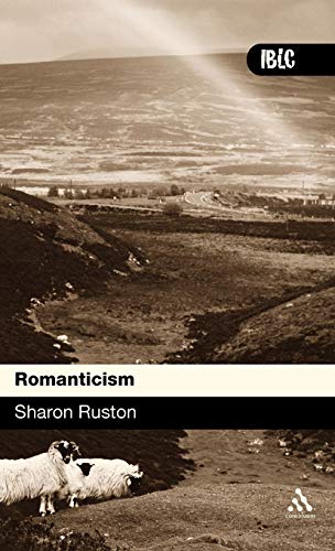 Beispielbild fr Romanticism (Introductions to British Literature and Culture) zum Verkauf von Hay-on-Wye Booksellers
