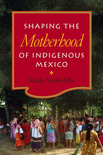 Beispielbild fr Shaping the Motherhood of Indigenous Mexico zum Verkauf von Better World Books