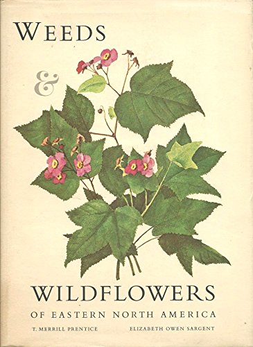 9780827173071: Weeds & wildflowers of Eastern North America