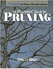 Imagen de archivo de Trees for Urban and Suburban Landscapes: An Illustrated Guide to Pruning a la venta por Front Cover Books