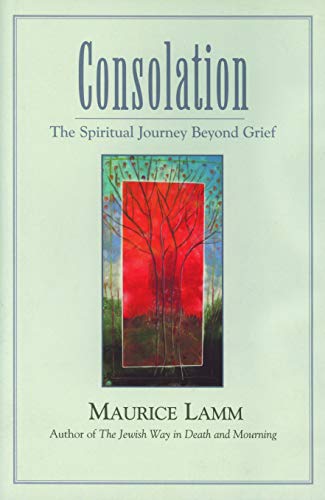 Imagen de archivo de Consolation: The Spiritual Journey Beyond Grief a la venta por SecondSale