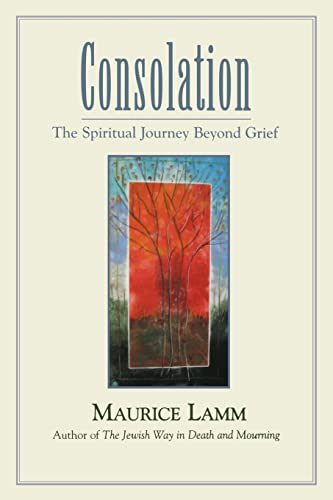 Imagen de archivo de Consolation : The Spiritual Journey Beyond Grief a la venta por Better World Books