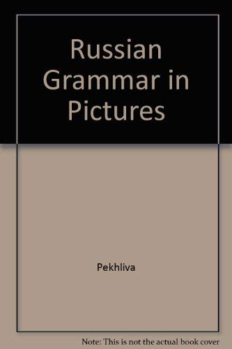 9780828537353: Russian Grammar in Pictures