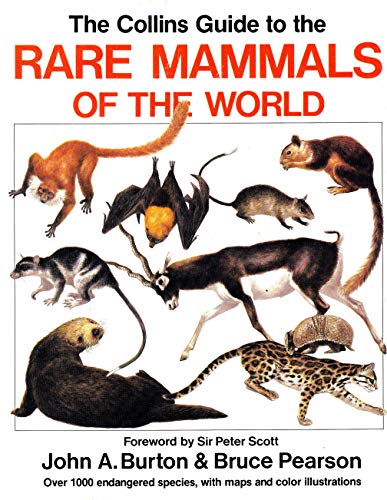 Beispielbild fr The Collins Guide to the Rare Mammals of the World zum Verkauf von BookHolders