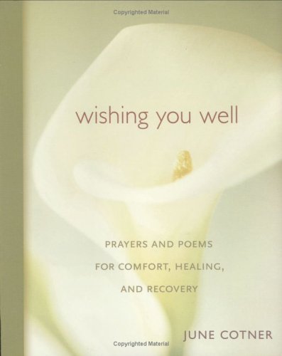 Stock image for Wishing You Well: Prayers and Poems for Comfort, Healing, and Recovery for sale by More Than Words