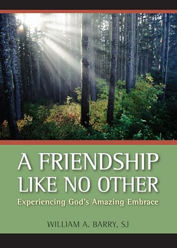 Imagen de archivo de A Friendship Like No Other: Experiencing God's Amazing Embrace a la venta por SecondSale