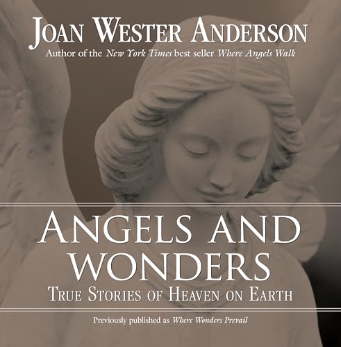 Beispielbild fr Angels and Wonders: True Stories of Heaven on Earth zum Verkauf von SecondSale